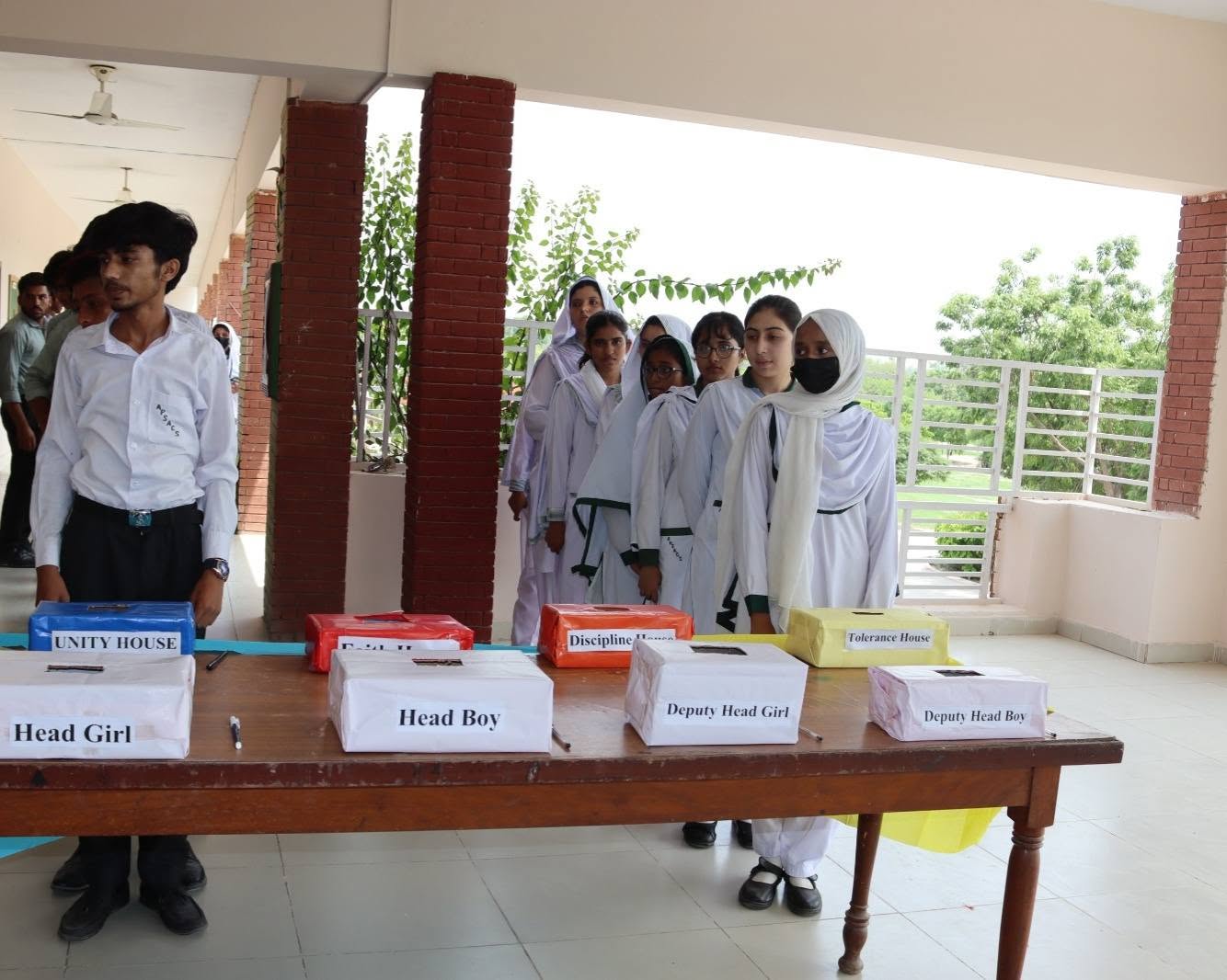 Senior 37