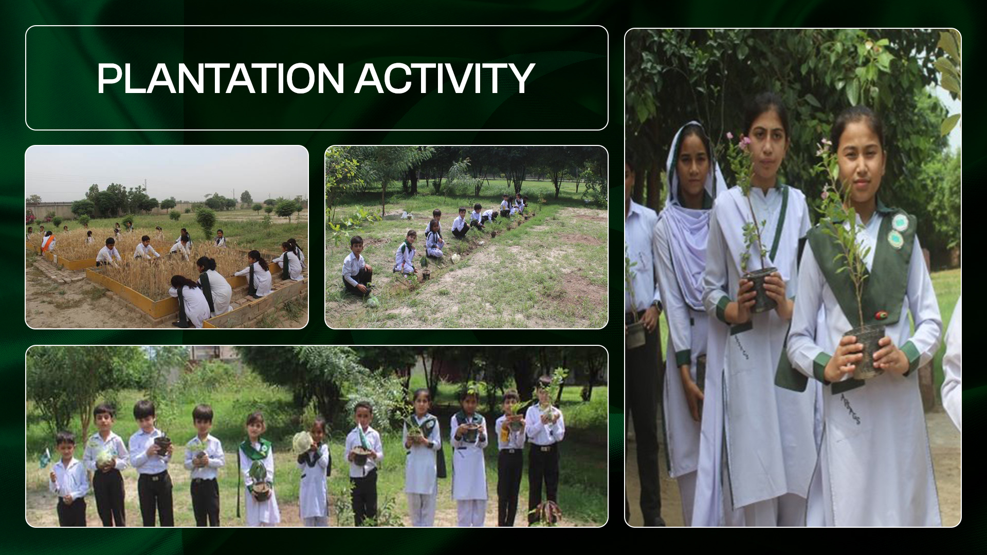 Slide 8